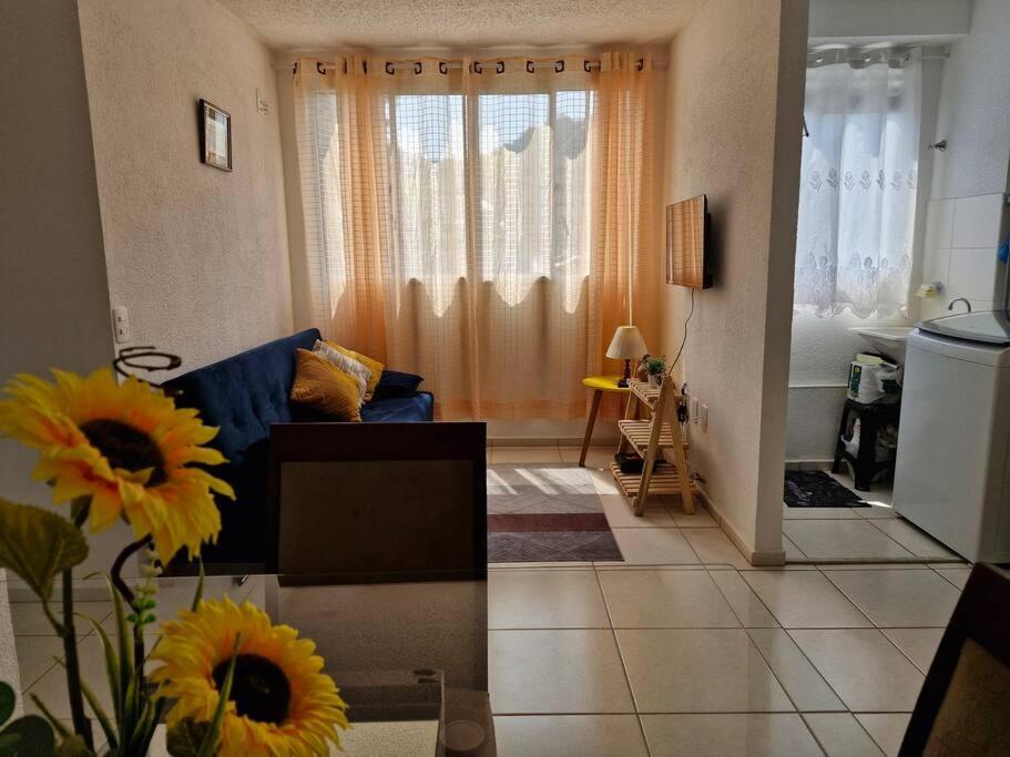 Ha 10 Minutos Da Do Pontal Apartment *
